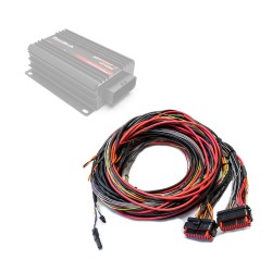 Πλεξούδα FuelTech FTSPARK EXTREME / Dual Box