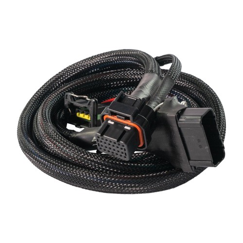 FuelTech FT450 Honda Low-CC Motorcycle Plug & Play Harness FuelTech FT450 Honda Low-CC Motorcycle Plug & Play Harness