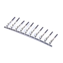 Haltech ECU Pins Only AMP Superseal Pack of 10