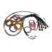 Haltech Plug and Pins Only - Matching Set of Deutsch DT-12 Connectors (DT06-12S + DT04-12P) - ( 13 Amp)