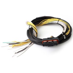 Haltech HPI - High Power Igniter - 2m Flying Lead Loom Only
