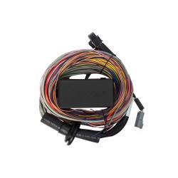 Haltech Elite 550 / 750 Premium Universal Wire-in Harness 2.5m (8')