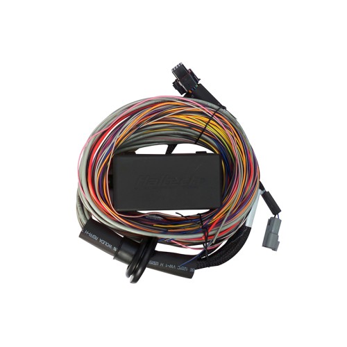 Haltech Elite 550 / 750 Premium Universal Wire-in Harness 2.5m (8') Haltech Elite 550 / 750 Premium Universal Wire-in Harness 2.5m (8')