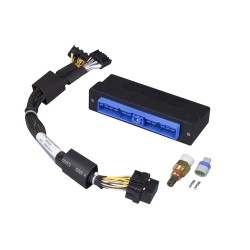 Haltech Elite 750 PnP Ada Harn Only - Nissan Patrol/Safari Y60
