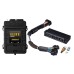 Haltech Elite 1500 PnP Adapt Harn ECU Kit - Mitsu VR4 & Eclipse 1G Haltech Elite 1500 PnP Adapt Harn ECU Kit - Mitsu VR4 & Eclipse 1G