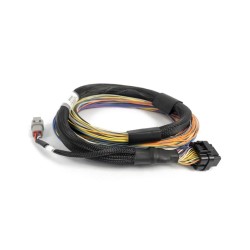 Haltech Nexus T2 / T1 Basic Universal Wire-in Harness