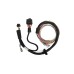 Haltech Nexus T2 / T1 Premium Universal Wire-in Harness Haltech Nexus T2 / T1 Premium Universal Wire-in Harness