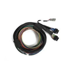 Haltech Nexus S3 / S2 Universal Wire-In Harness - 2.5m(8')