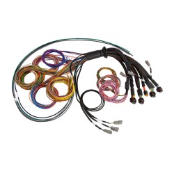 Haltech Nexus R5 Universal Wire-In harness - 2.5M (8')