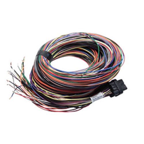 Link Old G4 Atom & Lightning 5m (5LT) Link Old G4 Atom & Lightning 5m (5LT)