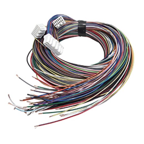 LinkPlus Loom G1/G2 - 2m (X2ML)