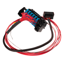 Link LS Harness - Fuse and Relay Box